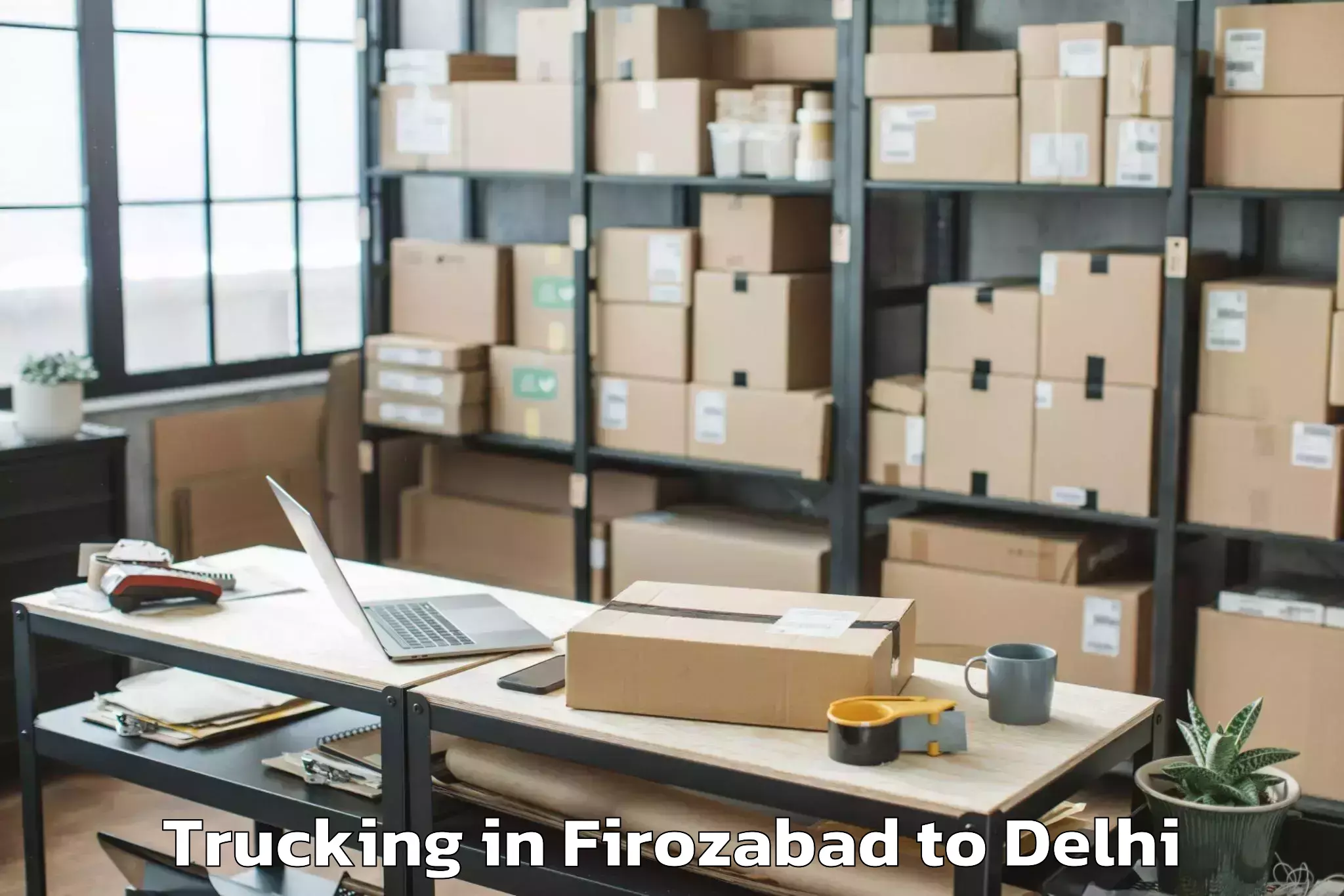 Quality Firozabad to D Mall Paschim Vihar Trucking